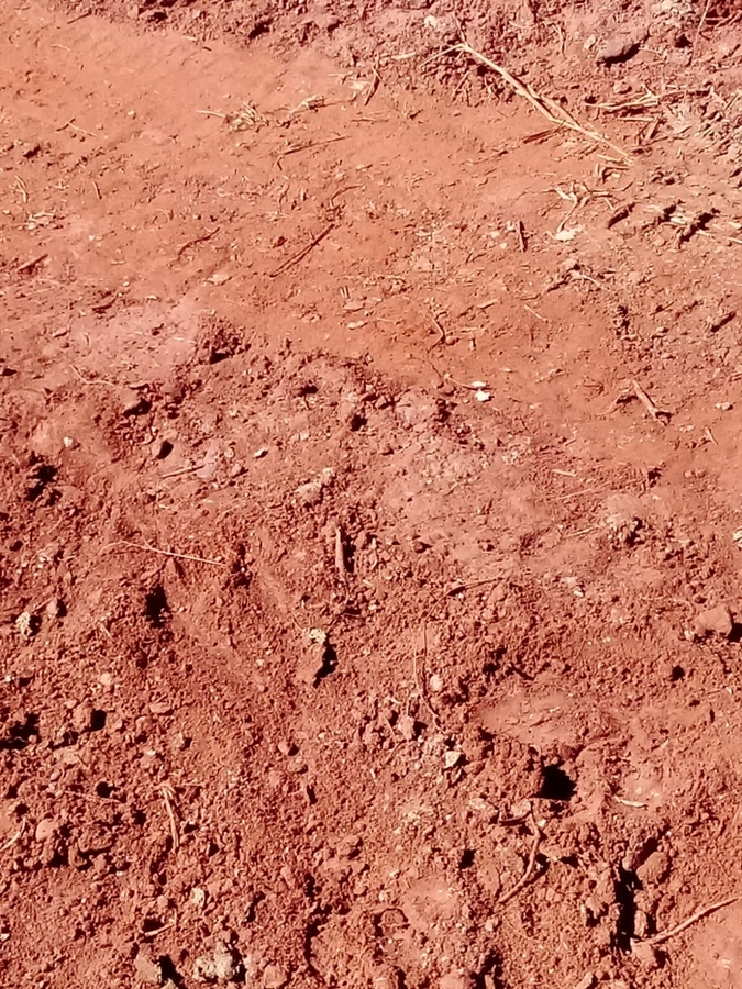 image_re_6772102.jpg