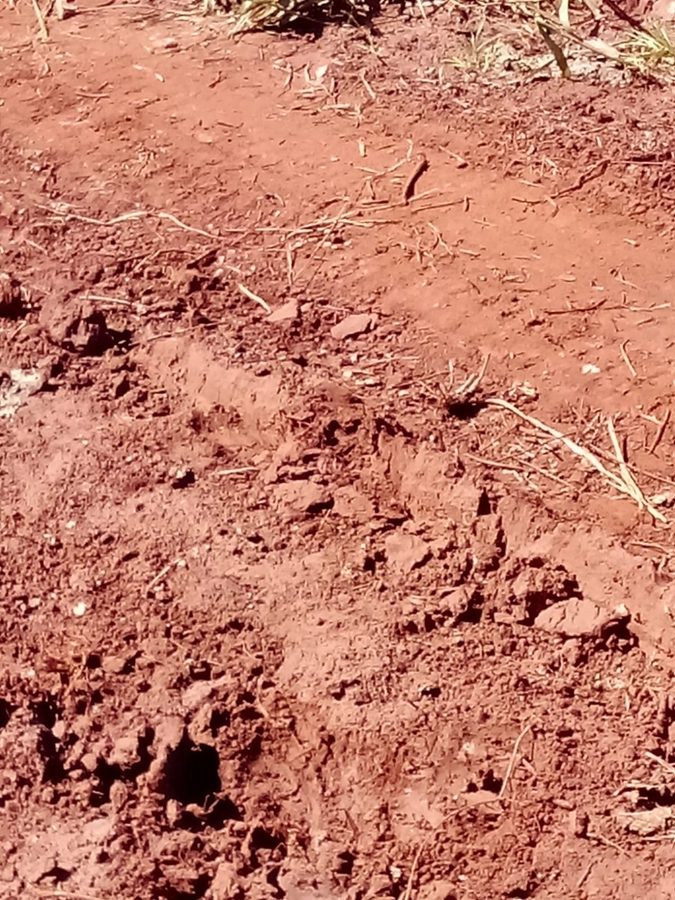 image_re_6772103.jpg