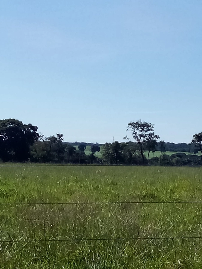 image_re_6772105.jpg