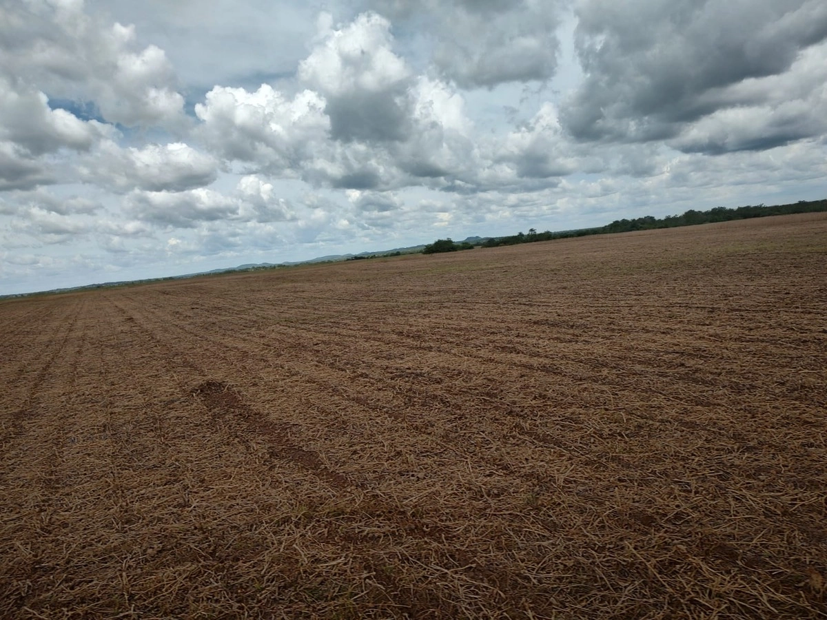 Fazenda/Sítios/Chácaras de 108990000m² no bairro Goiatins, em Goiatins | Eu Corretor
