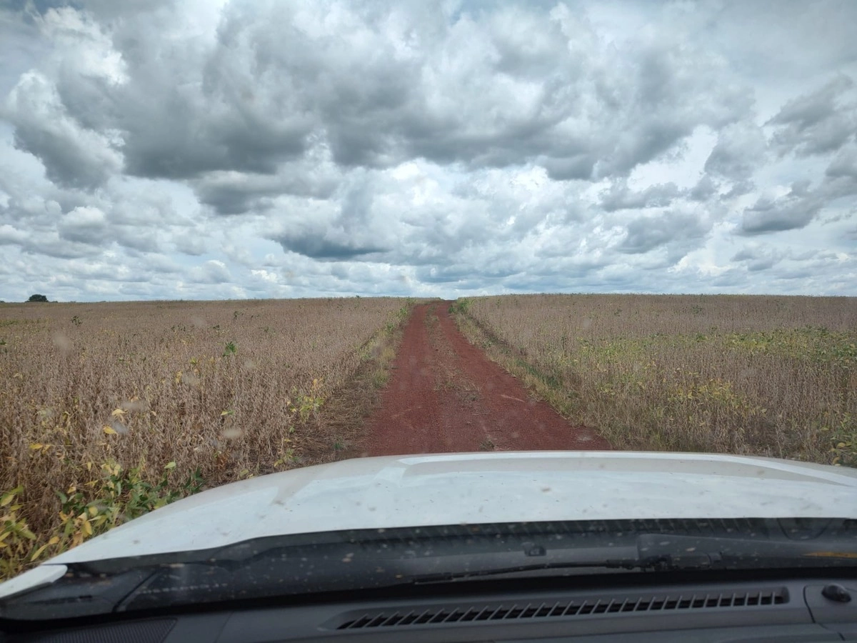 Fazenda/Sítios/Chácaras de 108990000m² no bairro Goiatins, em Goiatins | Eu Corretor