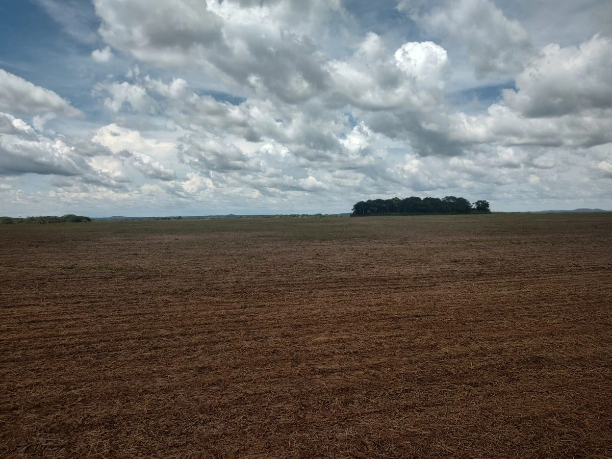 image_re_6772173.jpg