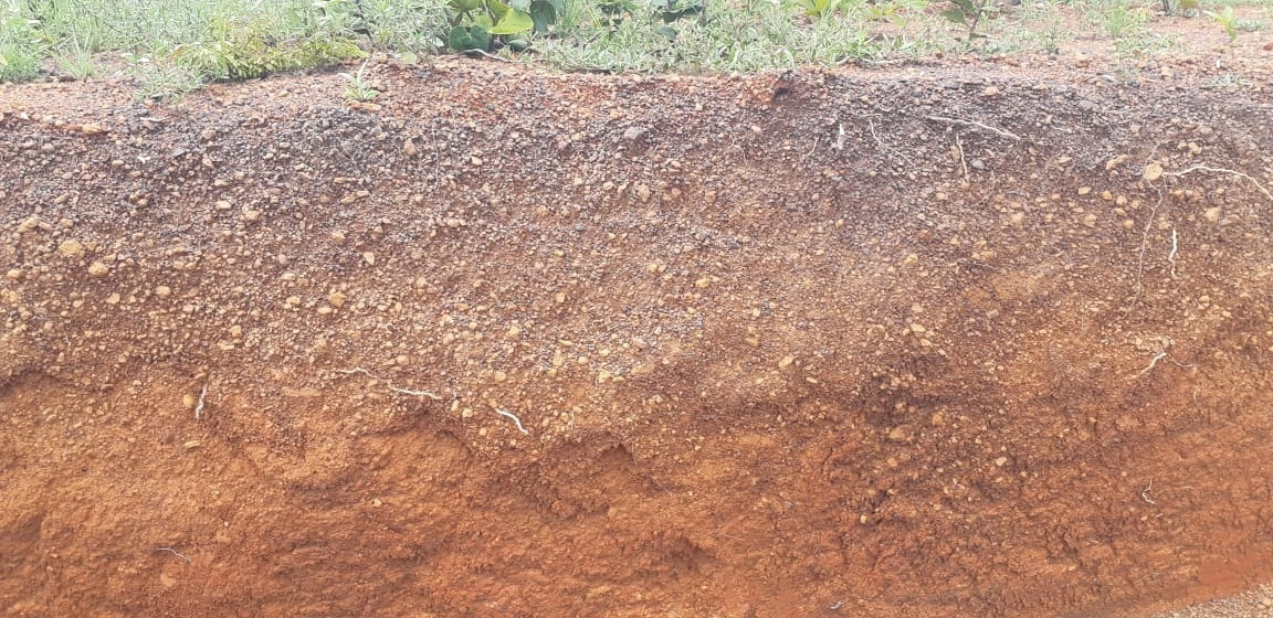 image_re_6772174.jpg