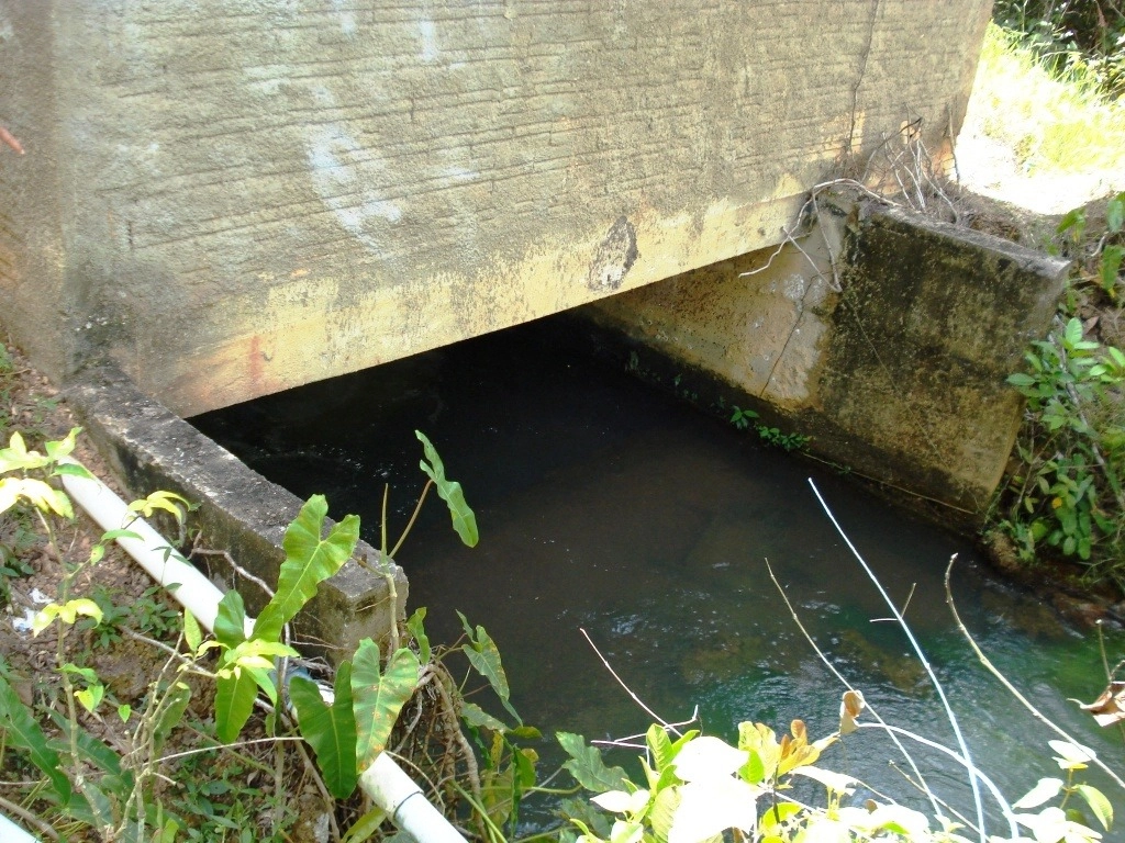image_re_6772191.jpg