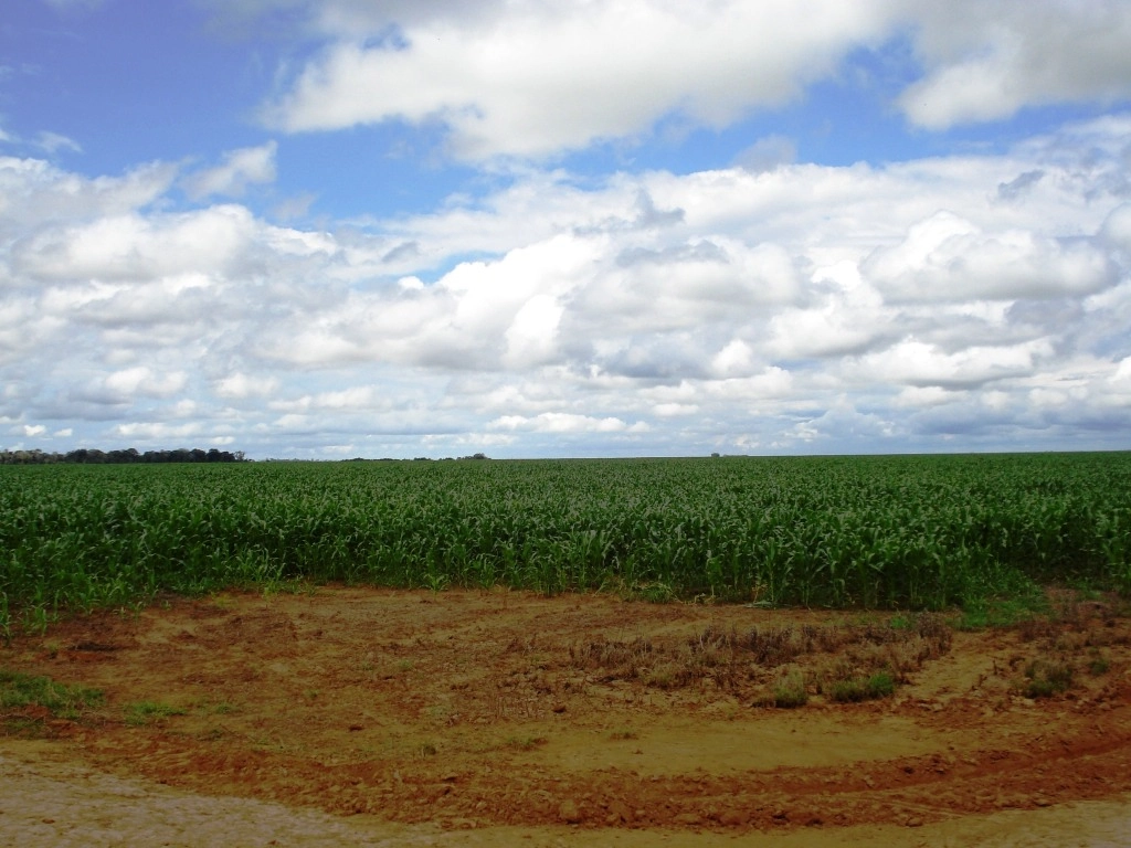 image_re_6772193.jpg