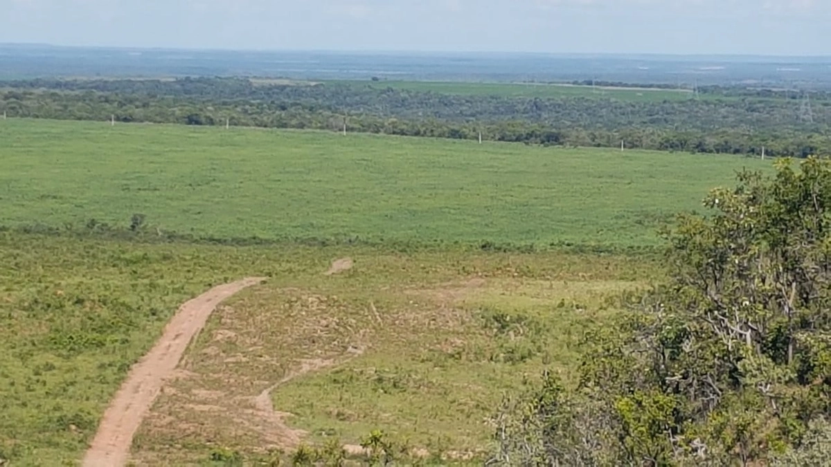 Fazenda/Sítios/Chácaras de 73600000m² no bairro Balsas, em Balsas | Eu Corretor