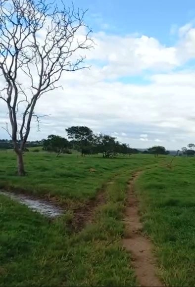 Fazenda/Sítios/Chácaras de 15004000m² no bairro Setor Central, em Catalão | Eu Corretor