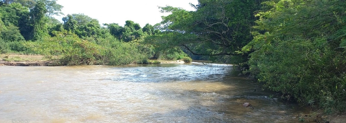 image_re_6772278.jpg