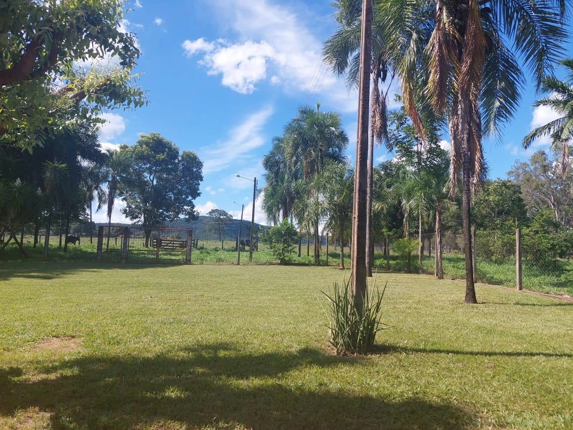Fazenda/Sítios/Chácaras de 3920400m² no bairro Itarumã, em Itarumã | Eu Corretor