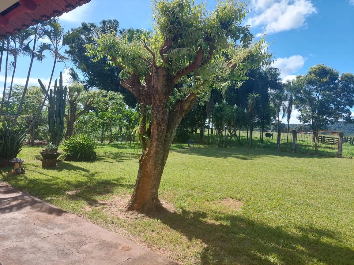 Fazenda/Sítios/Chácaras de 3920400m² no bairro Itarumã, em Itarumã | Eu Corretor