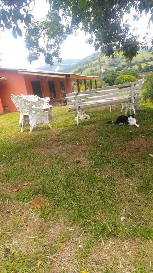image_re_6772322.jpg
