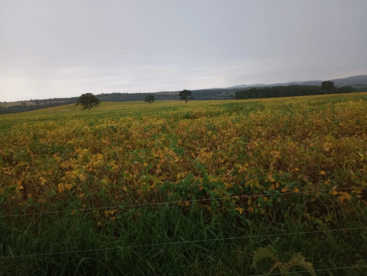 Fazenda/Sítios/Chácaras de 2550000m² no bairro Guarda-Mor, em Guarda-Mor | Eu Corretor