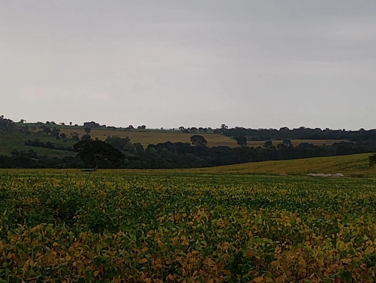 Fazenda/Sítios/Chácaras de 2550000m² no bairro Guarda-Mor, em Guarda-Mor | Eu Corretor