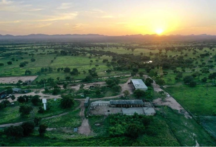 image_re_6772642.jpg