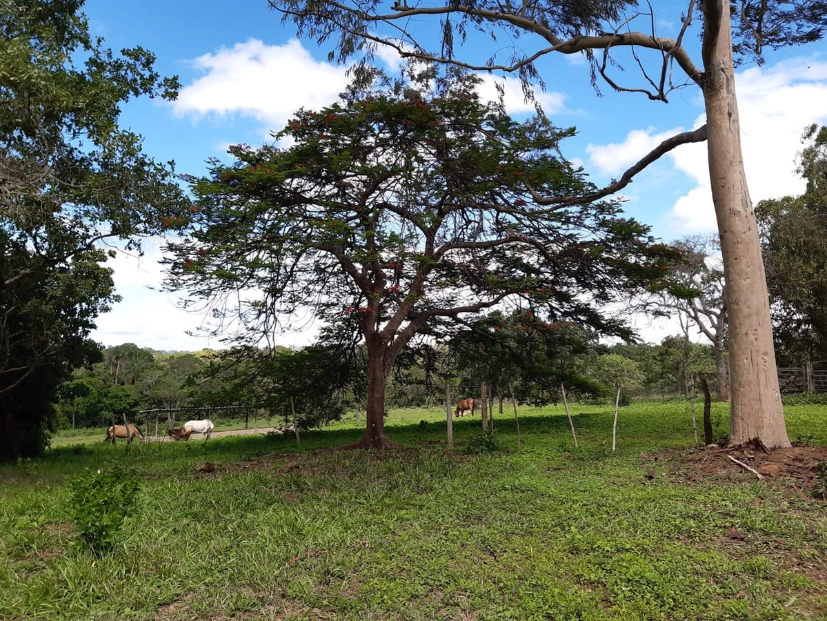Fazenda/Sítios/Chácaras de 4080000m² no bairro Jaboticatubas, em Jaboticatubas | Eu Corretor