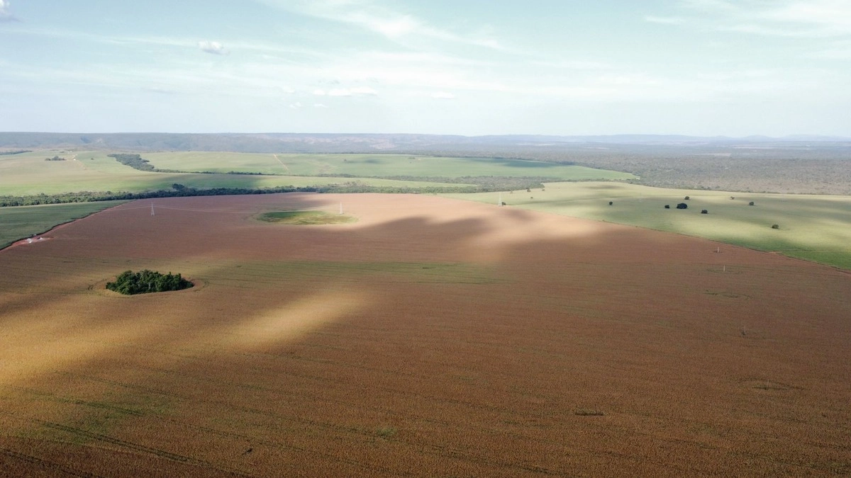 Fazenda/Sítios/Chácaras de 14700000m² no bairro Paracatu, em Paracatu | Eu Corretor