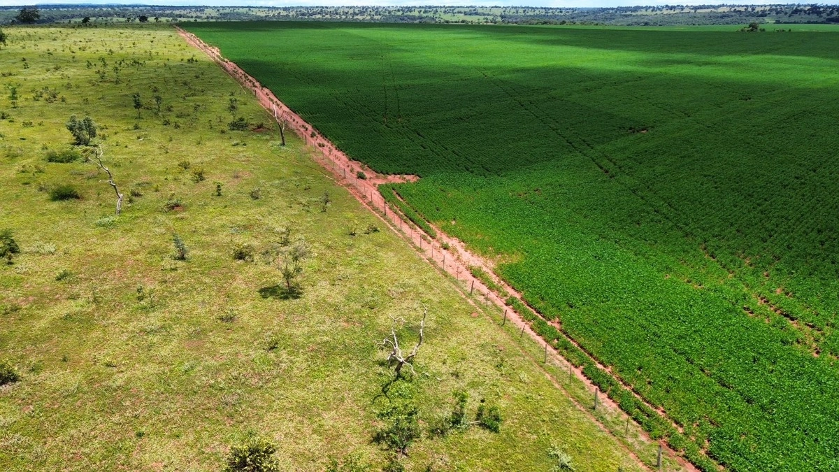 Fazenda/Sítios/Chácaras de 10000000m² no bairro Caçu, em Caçu | Eu Corretor