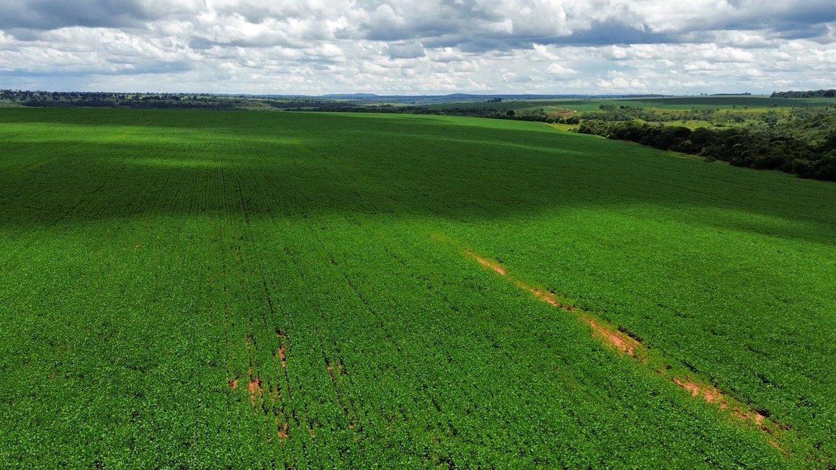 Fazenda/Sítios/Chácaras de 10000000m² no bairro Caçu, em Caçu | Eu Corretor