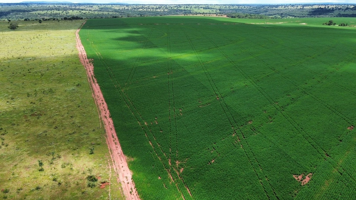 Fazenda/Sítios/Chácaras de 10000000m² no bairro Caçu, em Caçu | Eu Corretor