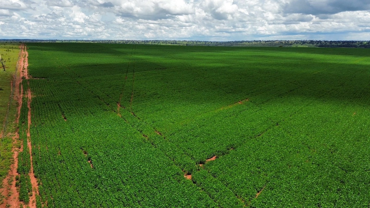 image_re_6772874.jpg