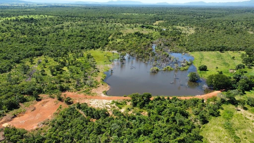Fazenda/Sítios/Chácaras de 5082000m² no bairro Santa Rosa, em Formosa | Eu Corretor