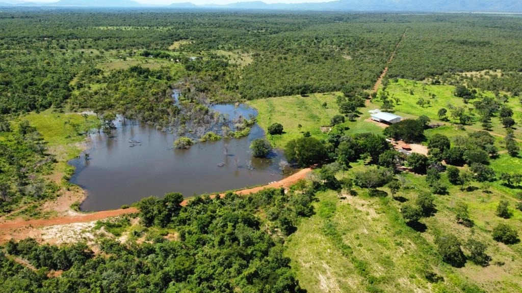 Fazenda/Sítios/Chácaras de 5082000m² no bairro Santa Rosa, em Formosa | Eu Corretor