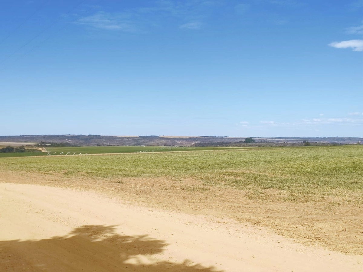 image_re_6772988.jpg