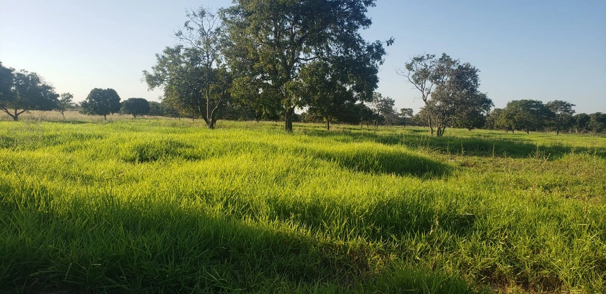 Fazenda/Sítios/Chácaras de 4395300m² no bairro Vila Boa, em Vila Boa | Eu Corretor