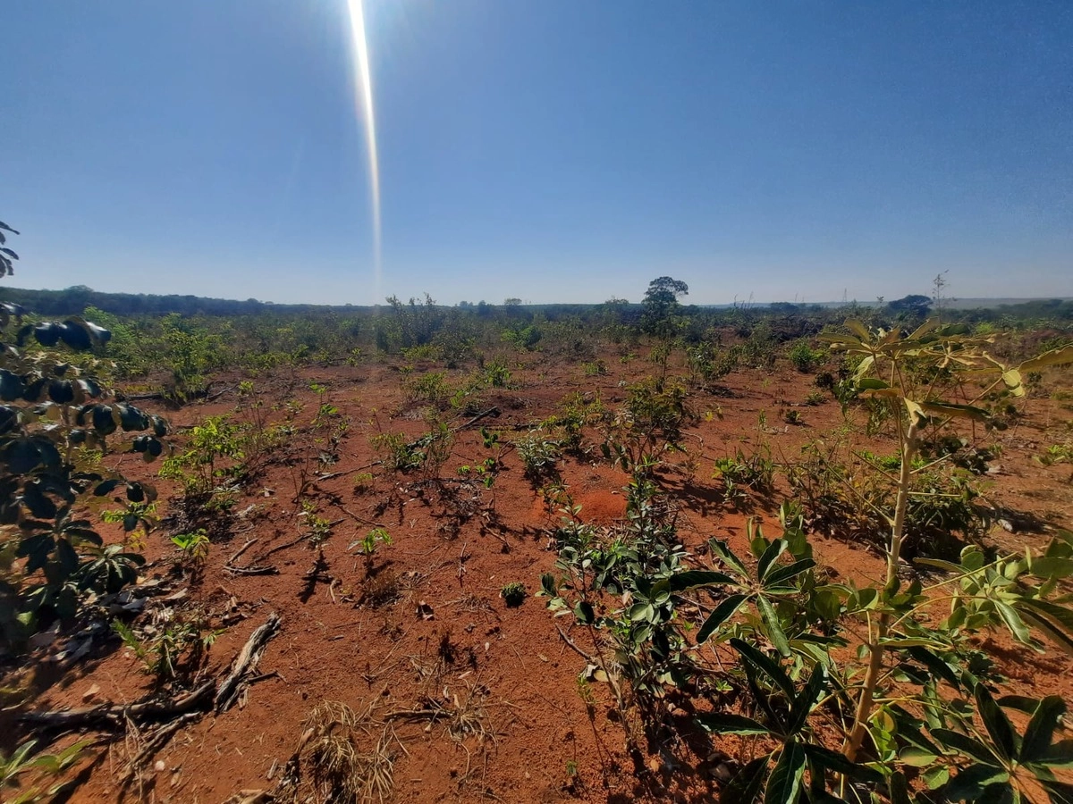 Fazenda/Sítios/Chácaras de 782200m² no bairro Cidade Ocidental, em Cidade Ocidental | Eu Corretor
