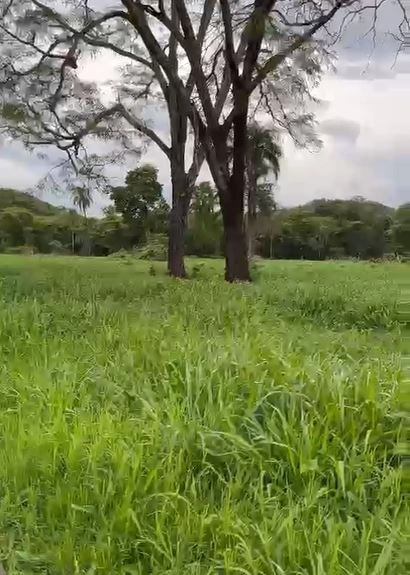 Fazenda/Sítios/Chácaras de 4990000m² no bairro Centro, em Formosa | Eu Corretor