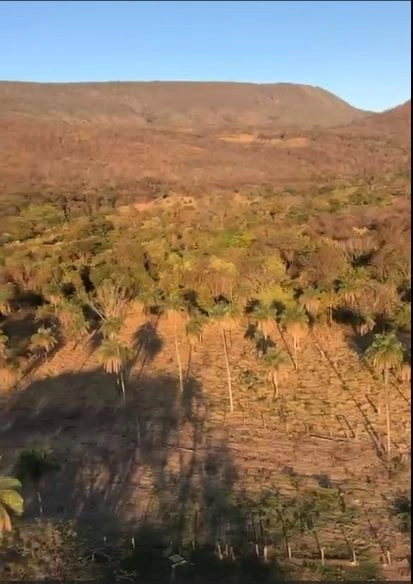 Fazenda/Sítios/Chácaras de 4990000m² no bairro Centro, em Formosa | Eu Corretor