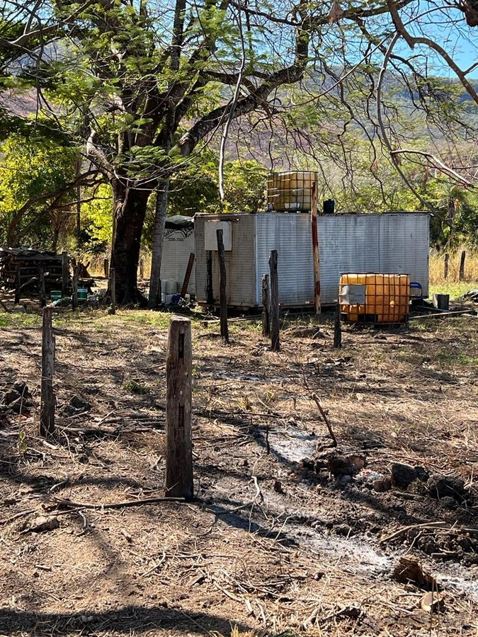 image_re_6773132.jpg