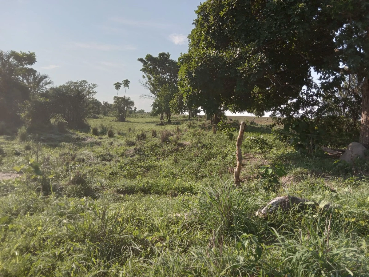 Fazenda/Sítios/Chácaras de 4017200m² no bairro Mara Rosa, em Mara Rosa | Eu Corretor