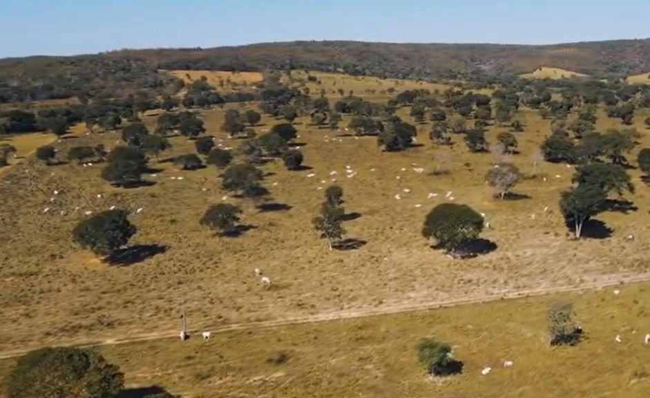 Fazenda/Sítios/Chácaras de 4470000m² no bairro Não informado, em Riachinho | Eu Corretor