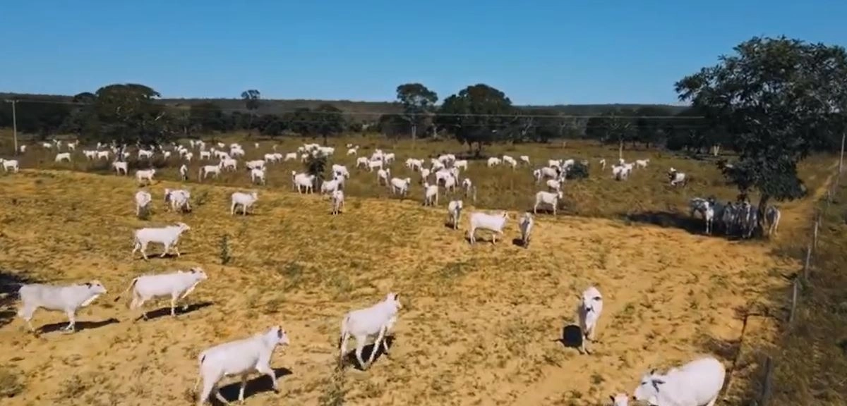 Fazenda/Sítios/Chácaras de 4470000m² no bairro Não informado, em Riachinho | Eu Corretor