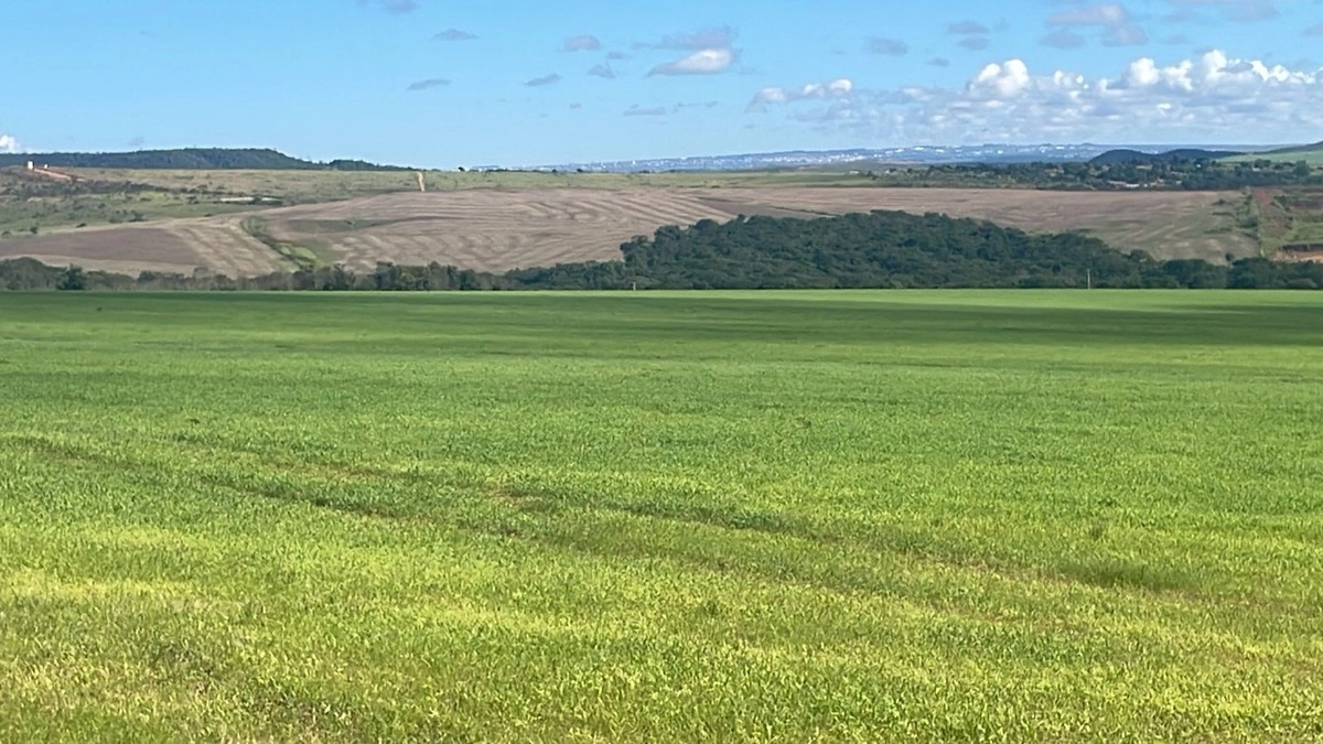 Fazenda/Sítios/Chácaras de 2780000m² no bairro Centro, em Luziânia | Eu Corretor