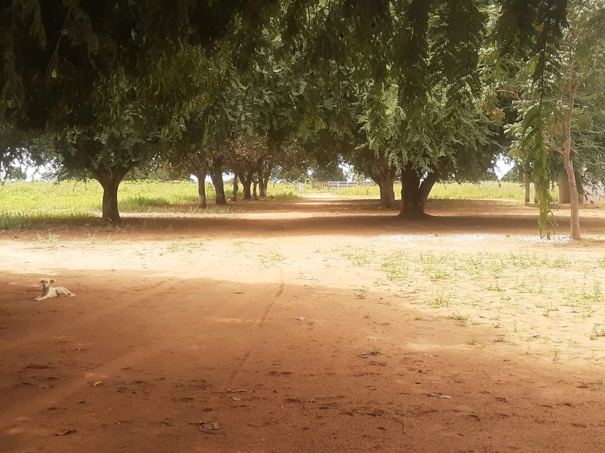 Fazenda/Sítios/Chácaras de 1277760000m² no bairro Peixe, em Peixe | Eu Corretor
