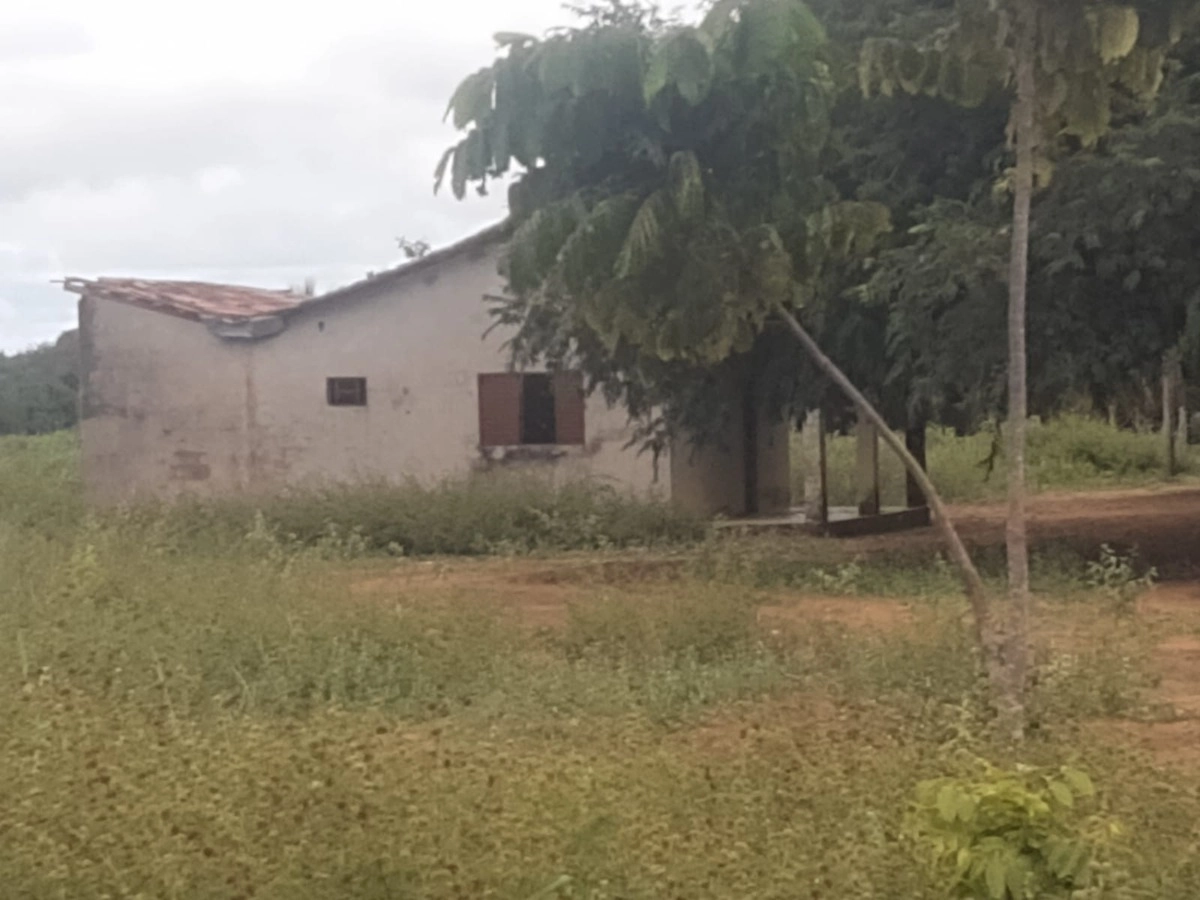 Fazenda/Sítios/Chácaras de 1277760000m² no bairro Peixe, em Peixe | Eu Corretor