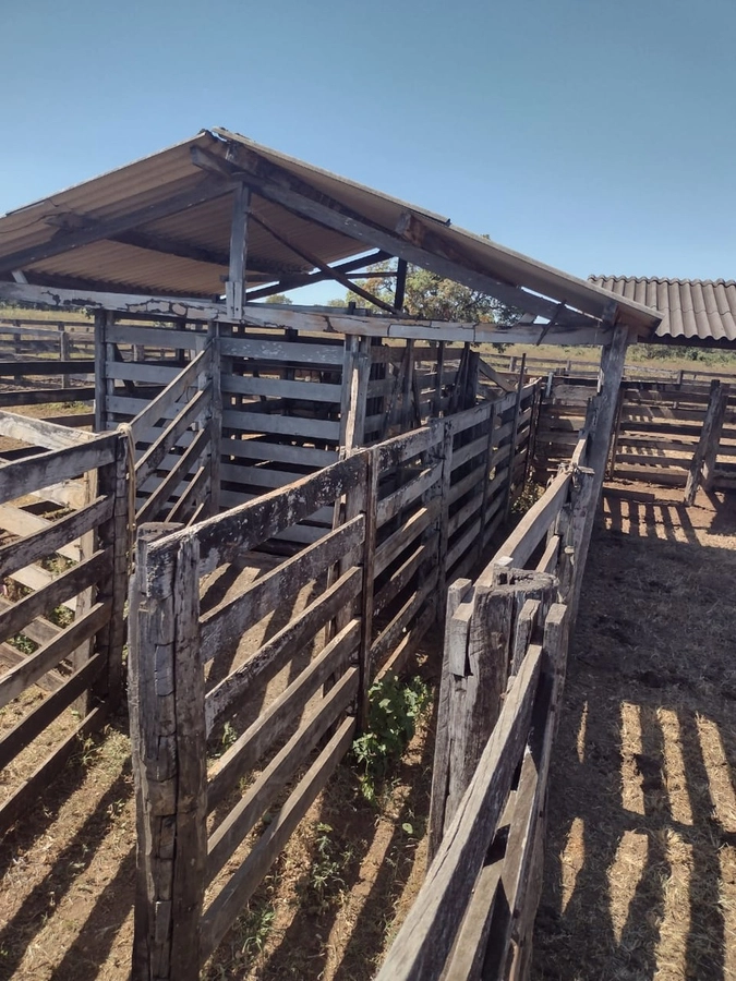 Fazenda/Sítios/Chácaras de 1277760000m² no bairro Peixe, em Peixe | Eu Corretor