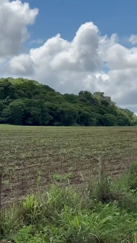 Fazenda/Sítios/Chácaras de 2620000m² no bairro Área Rural de Unaí, em Unaí | Eu Corretor