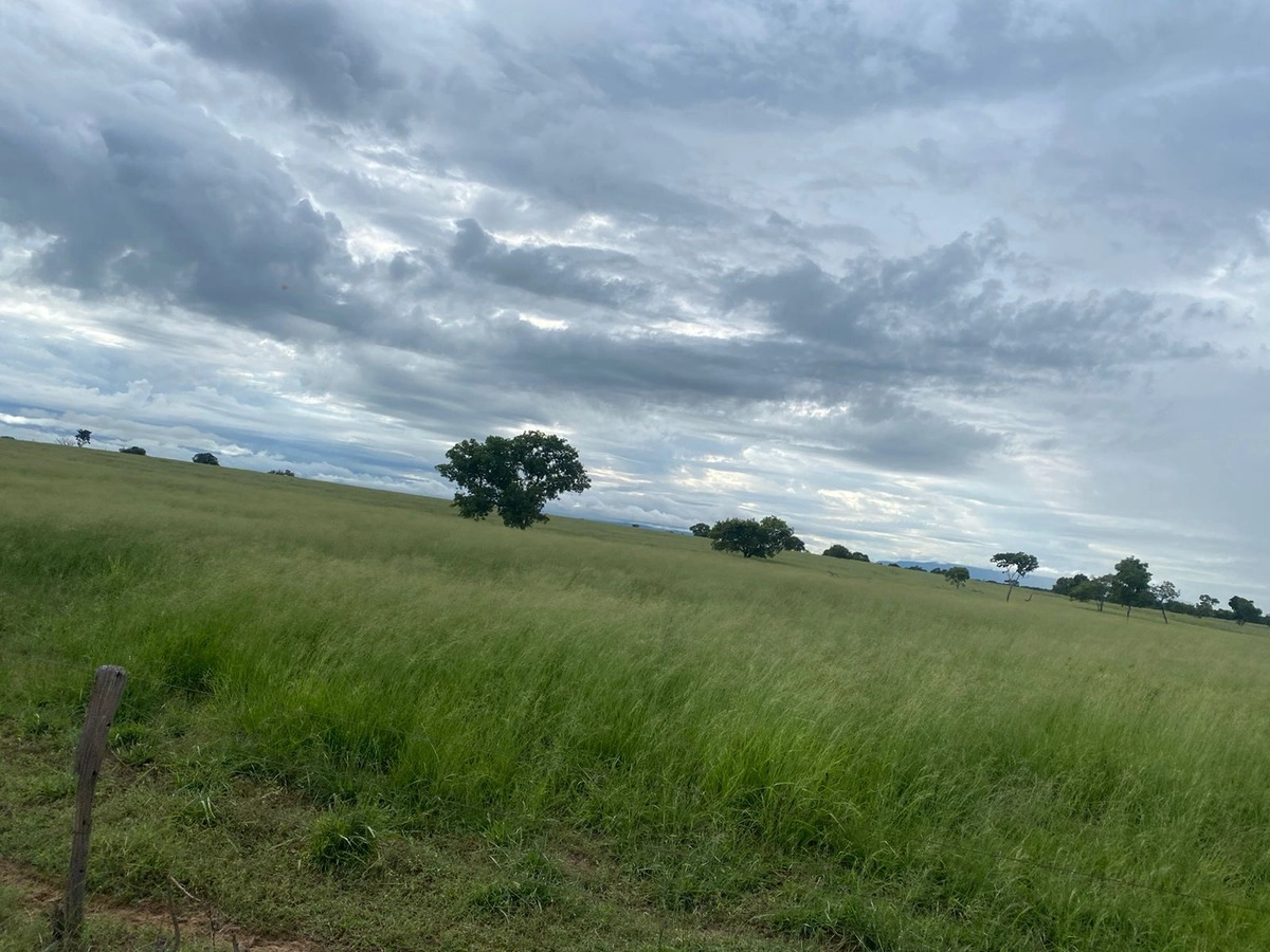 Fazenda/Sítios/Chácaras de 11420000m² no bairro Posse, em Posse | Eu Corretor