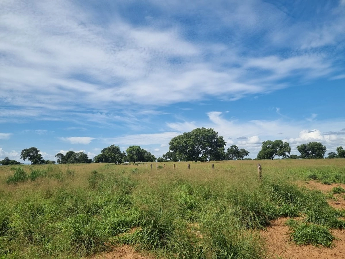 Fazenda/Sítios/Chácaras de 11420000m² no bairro Posse, em Posse | Eu Corretor