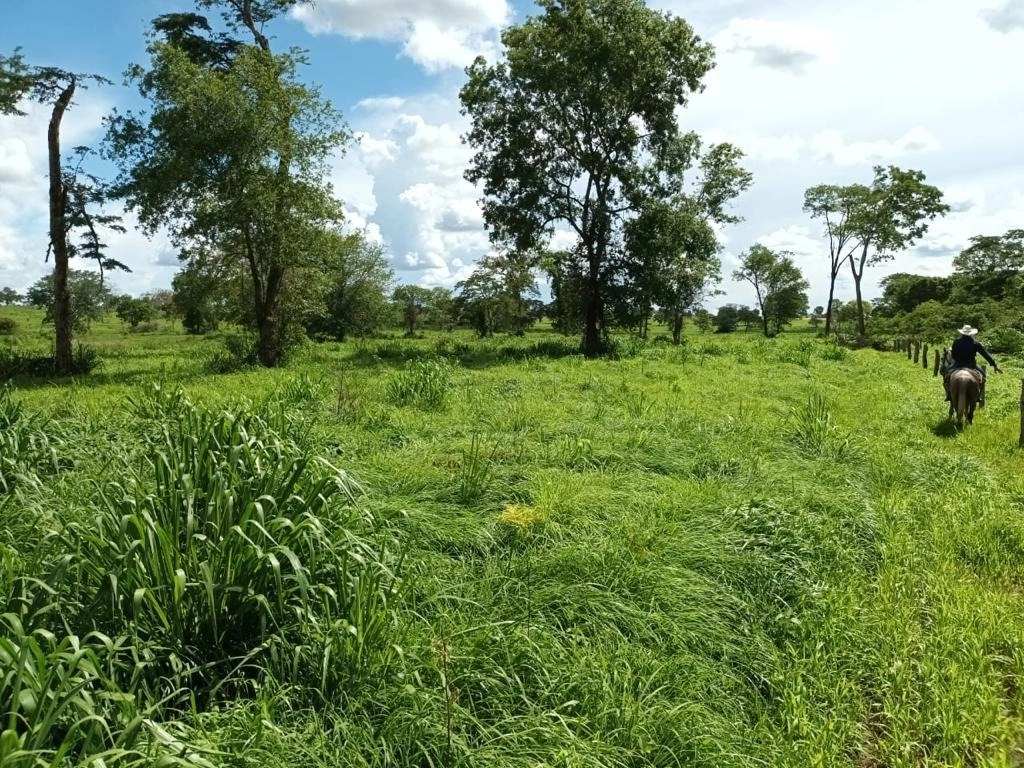 Fazenda/Sítios/Chácaras de 11420000m² no bairro Posse, em Posse | Eu Corretor