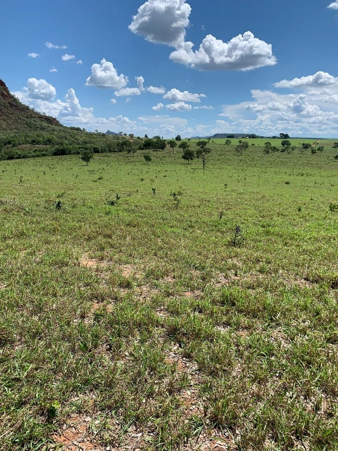 Fazenda/Sítios/Chácaras de 9340000m² no bairro Centro, em Guiratinga | Eu Corretor