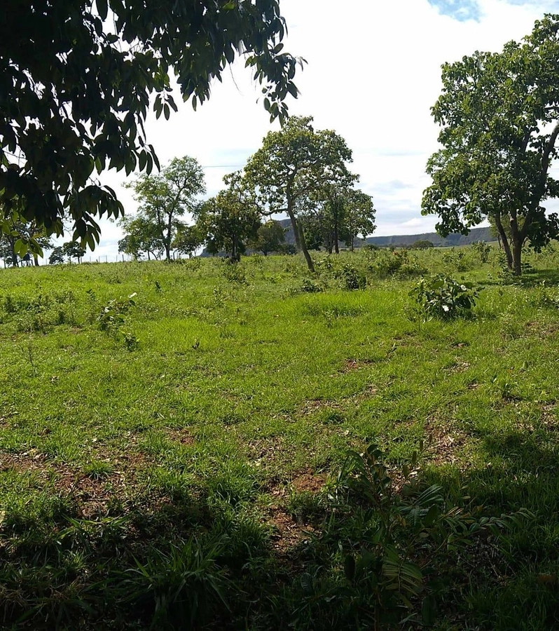 Fazenda/Sítios/Chácaras de 9340000m² no bairro Centro, em Guiratinga | Eu Corretor