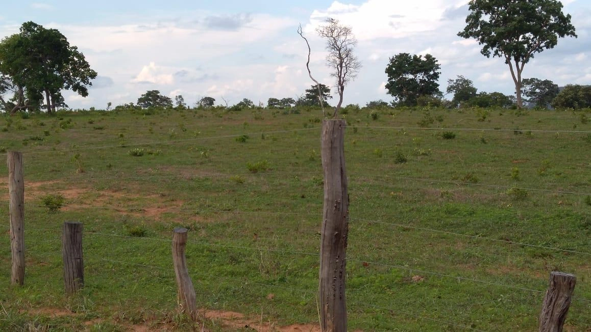 Fazenda/Sítios/Chácaras de 9340000m² no bairro Centro, em Guiratinga | Eu Corretor