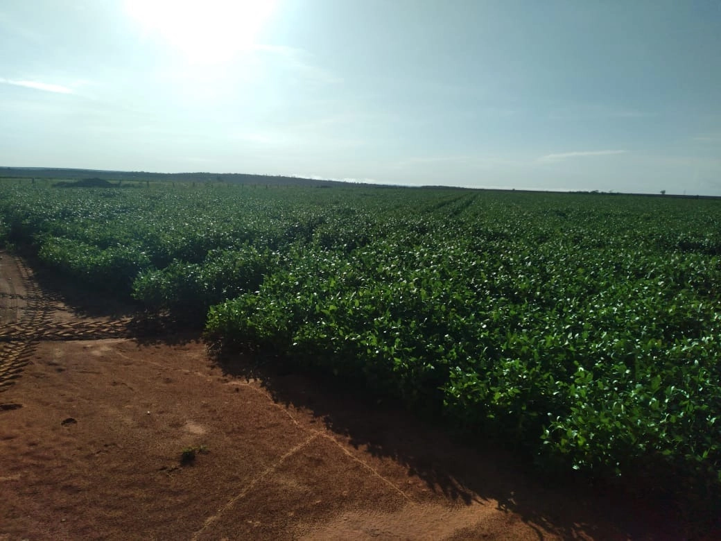 Fazenda/Sítios/Chácaras de 6530000m² no bairro Ponte Alta do Tocantins, em Ponte Alta do Tocantins | Eu Corretor