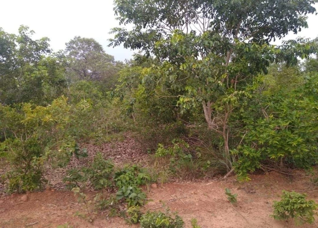 Fazenda/Sítios/Chácaras de 208370000m² no bairro Centro, em Caxias | Eu Corretor