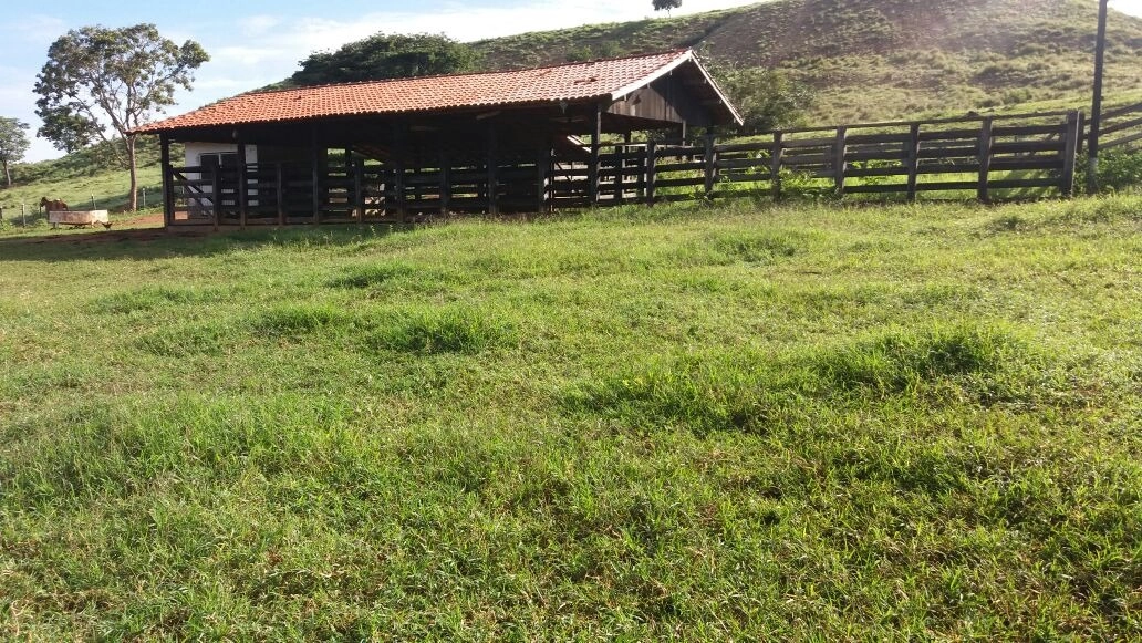 Fazenda/Sítios/Chácaras de 815000m² no bairro Primavera, em Unaí | Eu Corretor