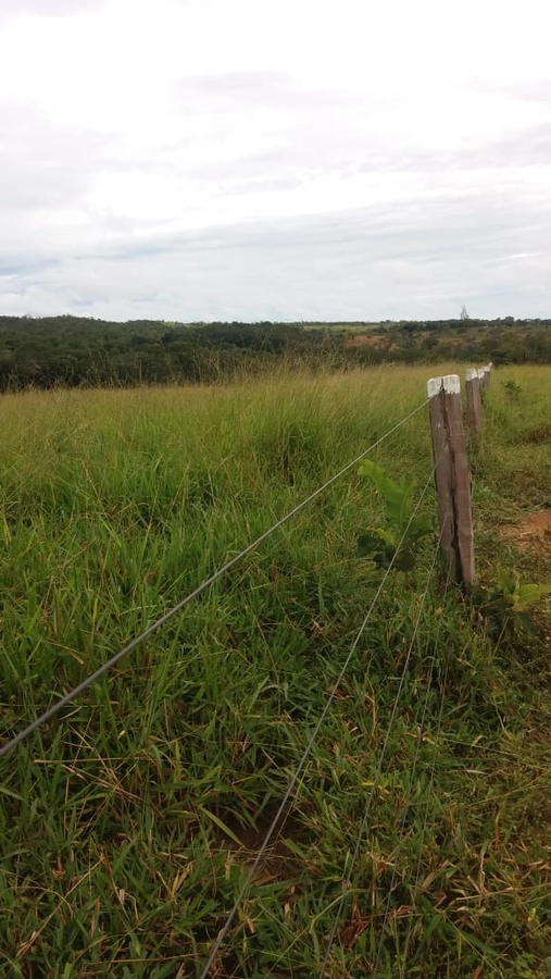 Fazenda/Sítios/Chácaras de 815000m² no bairro Primavera, em Unaí | Eu Corretor